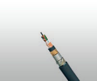 CCTSST-FR0.1 n.9/1.4